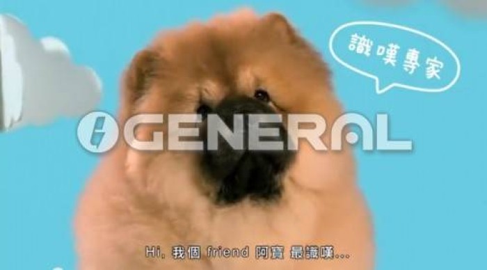 Advertisement 2013 - Ar Bo and Shoya